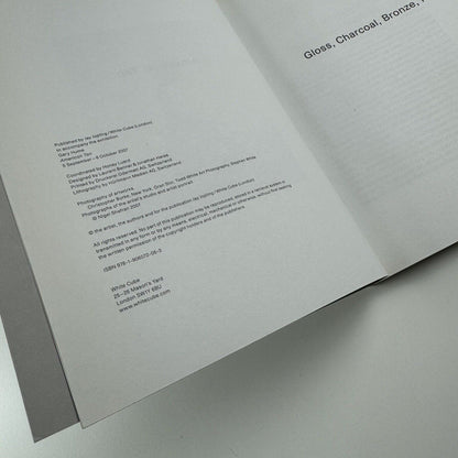 Gary Hume. American Tan | White Cube, London, 2007