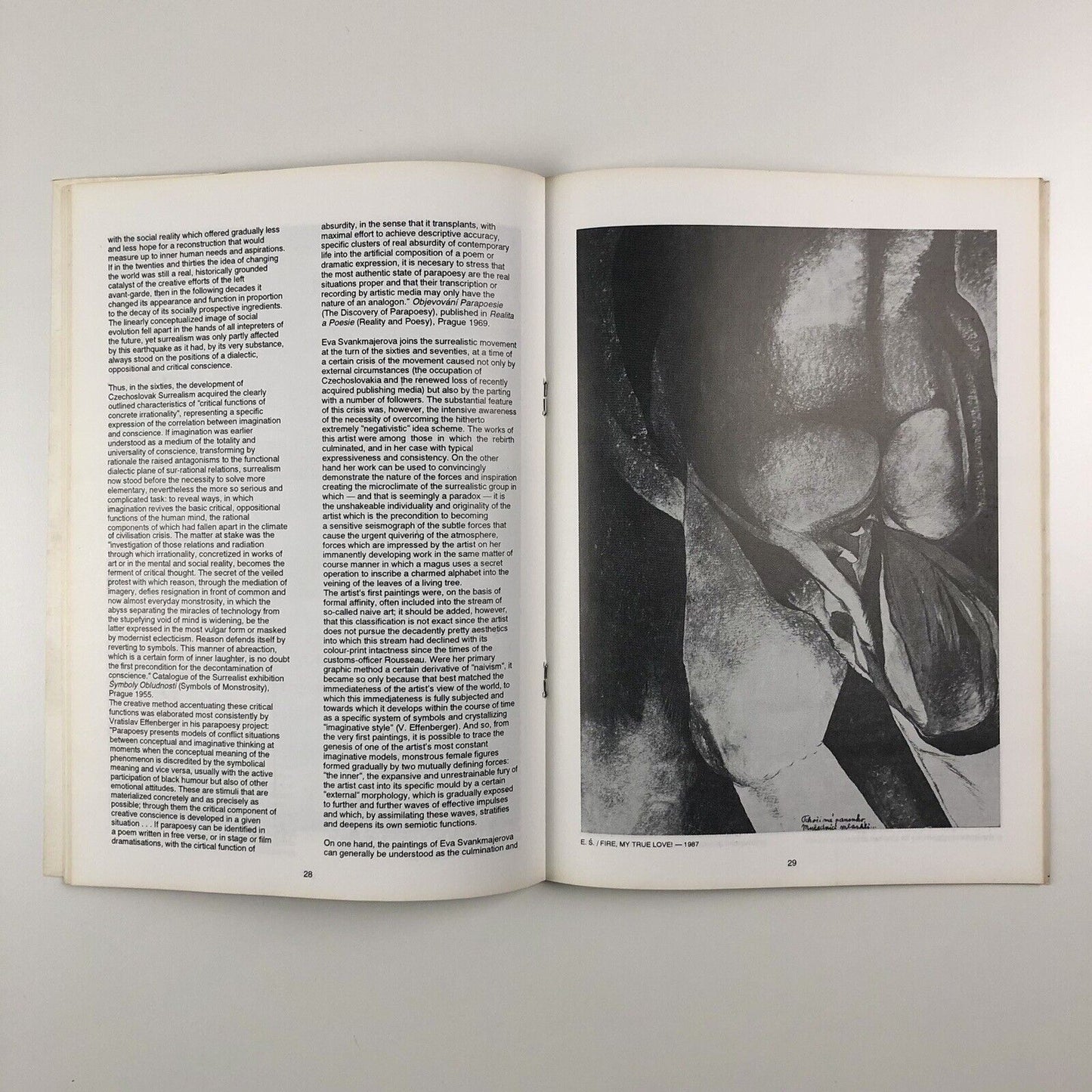 [Jan and Eva] Svankmajer in Wales. The Communication of Dreams | Chapter, Cardiff, 1992