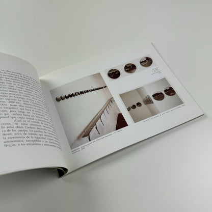Pablo Cardoso. Traveling Instructions | dpm Gallery USA and Ecuador, 2006