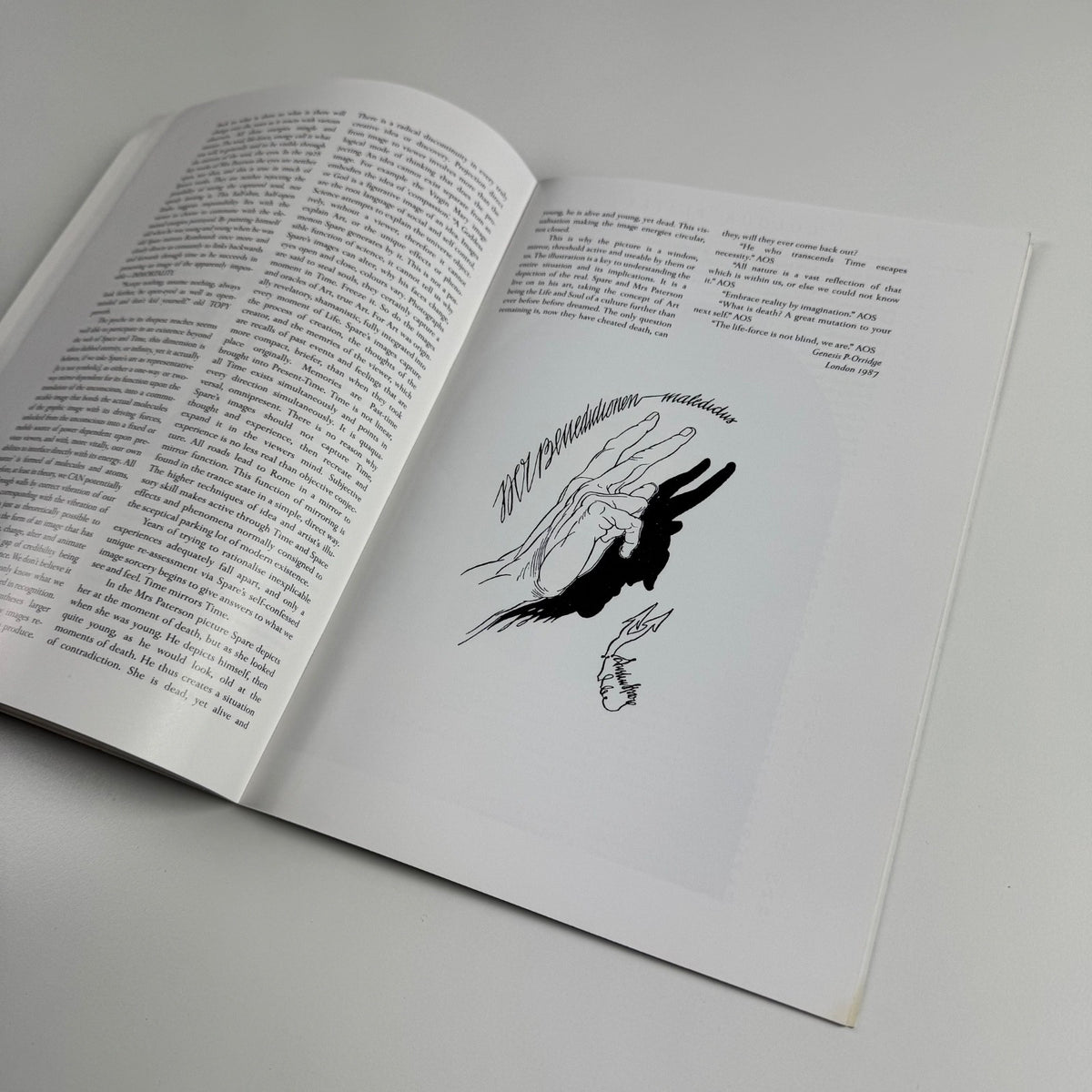 Austin Osman Spare The Divine Draughstman | The Morley Gallery London 1987