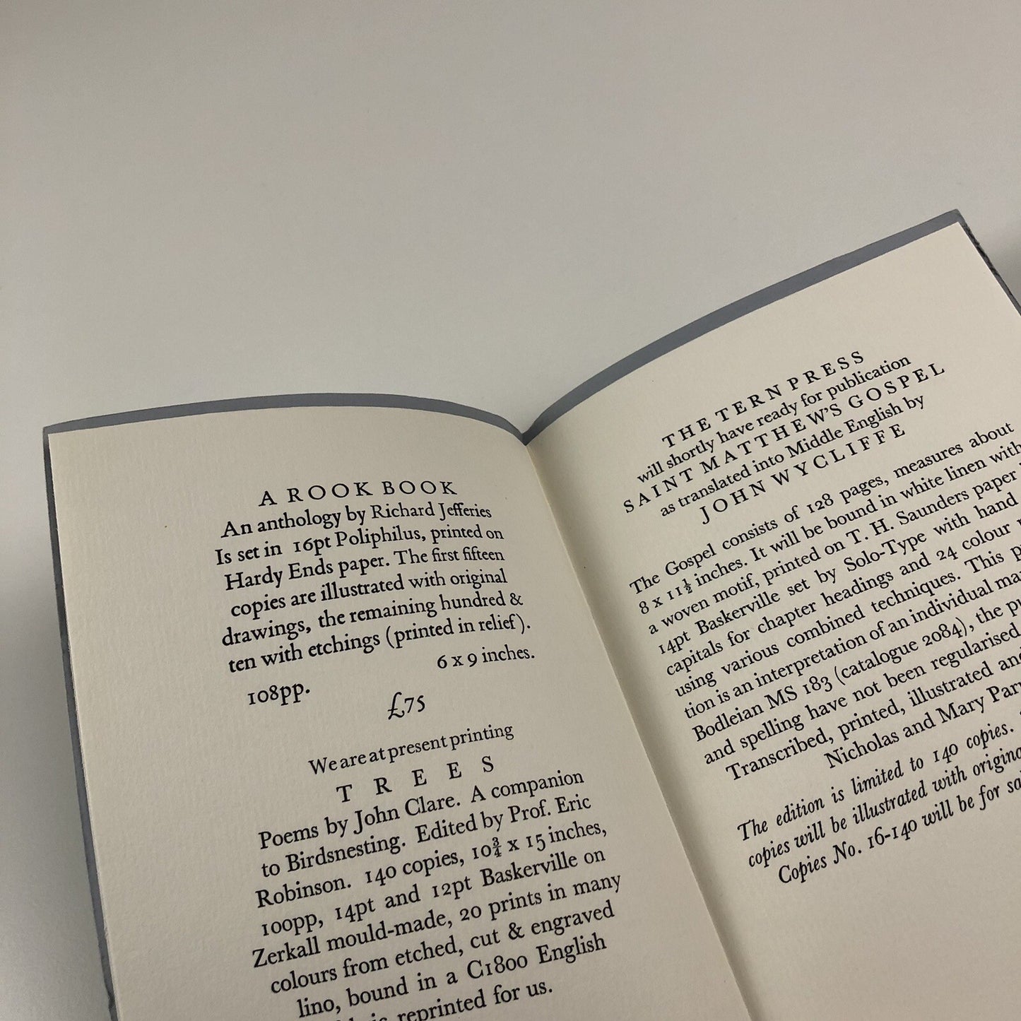 Promotional leaflet for Tern Press | Nicholas and Mary Parry, c.1988