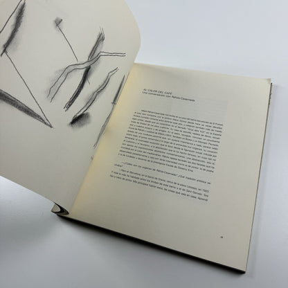 Albert Ràfols-Casamada. Obra reciente | Galeria Metta Madrid 2003