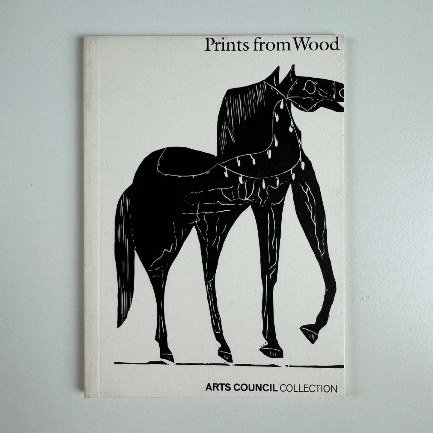 Prints from Wood from the Arts Council Collection | South Bank Centre 1993