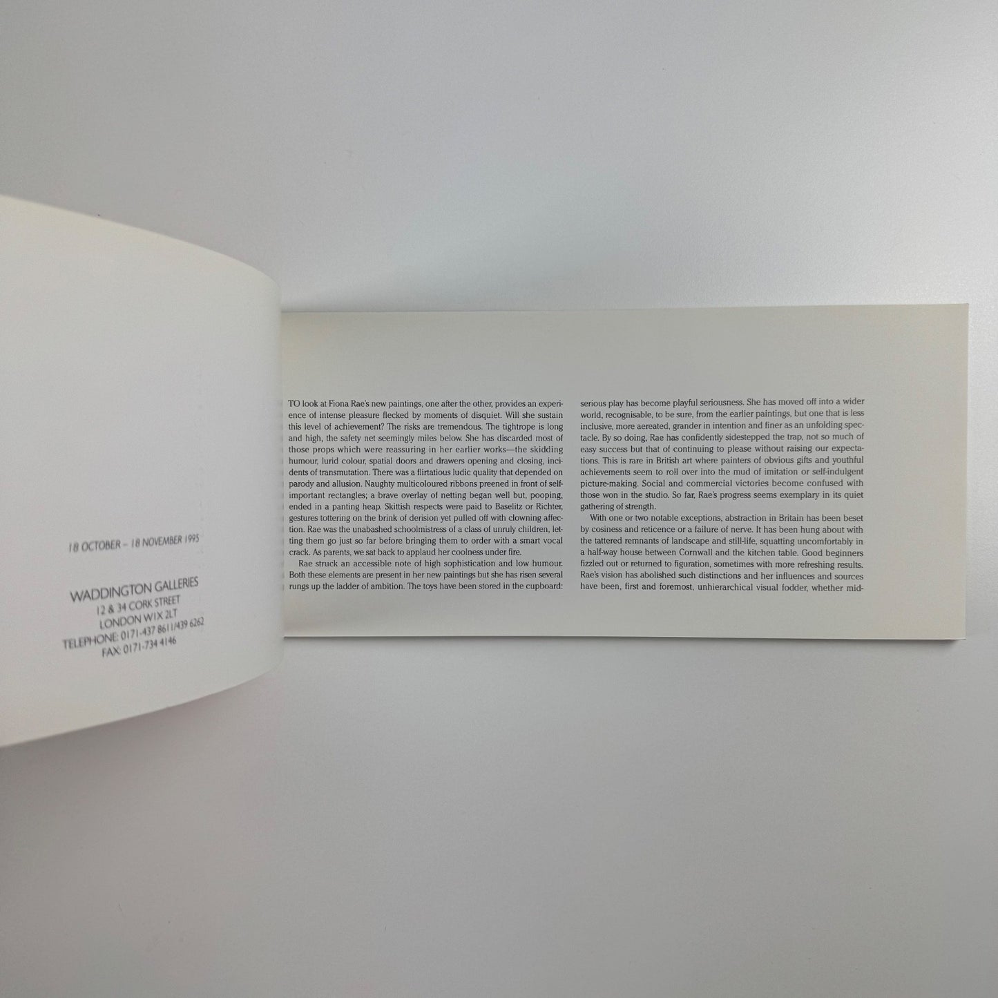 Fiona Rae | Waddington Galleries, London, 1995