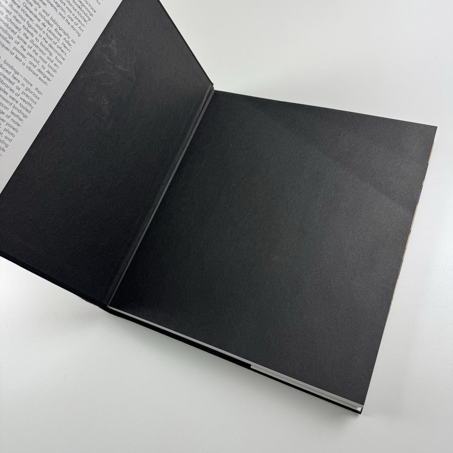 Art Nouveau and Art Deco Bookbinding – French Masterpieces 1880-1940 | Abrams, 1989