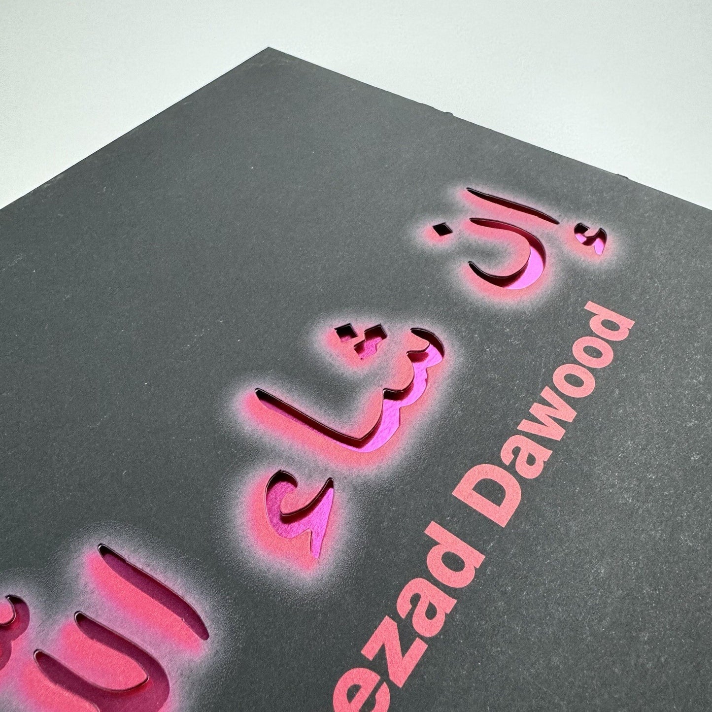 Shezad Dawood. Viaggio al termine della note | Riccardo Crespi Milan catalogue, 2008