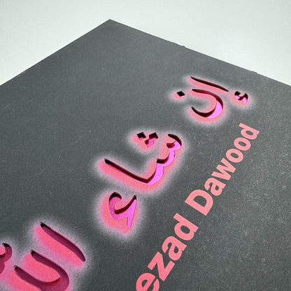 Shezad Dawood. Viaggio al termine della note | Riccardo Crespi Milan catalogue, 2008