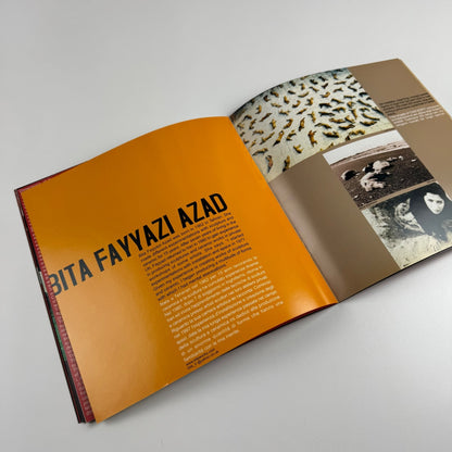 51st International Venice Biennale Iranian Institute for Promotion of Visual Art