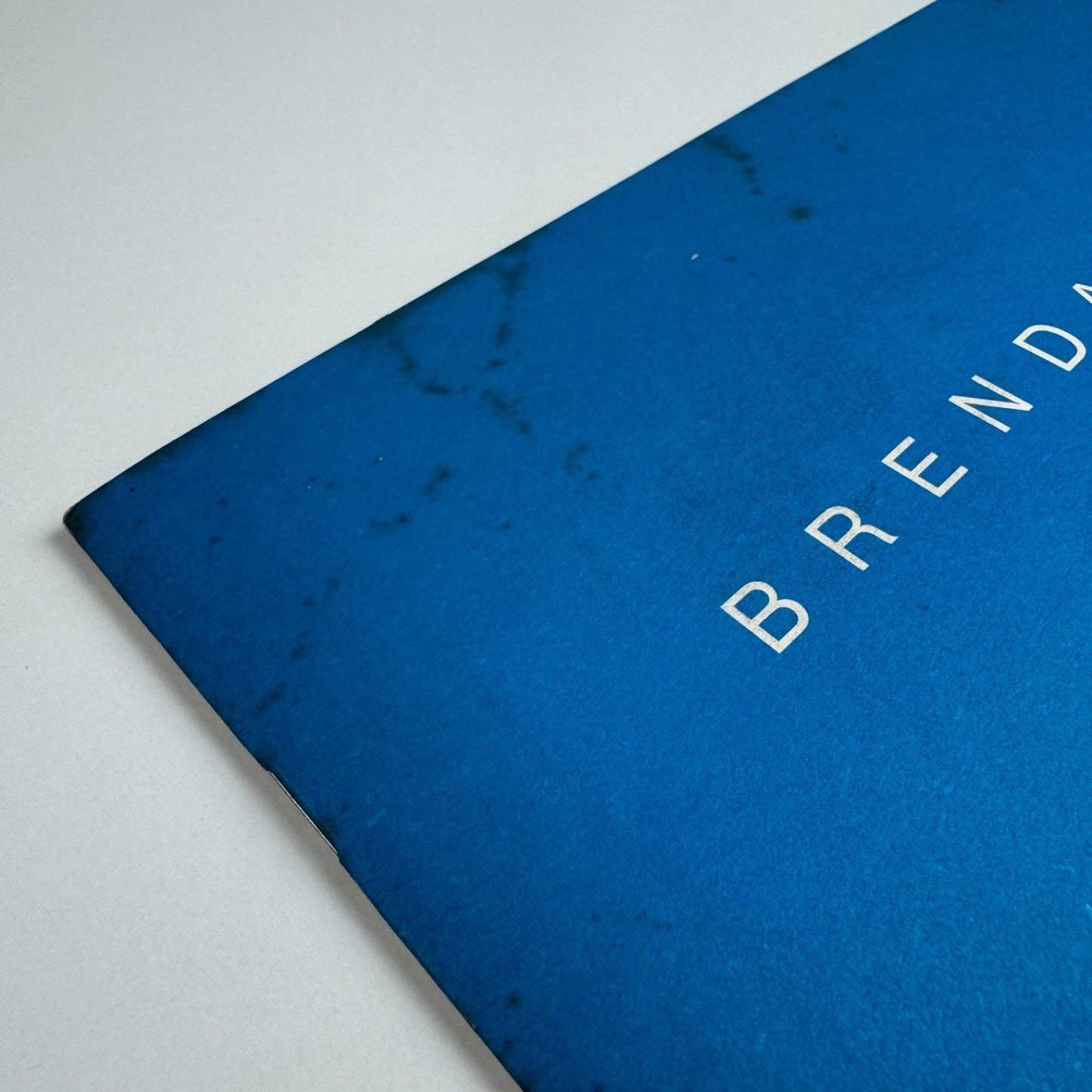 Brendan Neiland Recent Paintings | Fischer Fine Art London 1991
