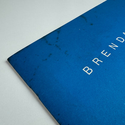 Brendan Neiland Recent Paintings | Fischer Fine Art London 1991