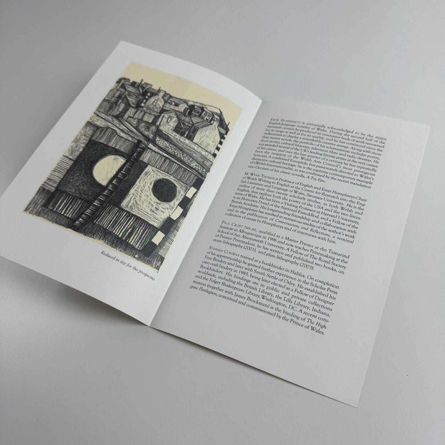 Prospectus for Welsh Time Emyr Humphrey's career ed. M. Wynn Thomas Gwasg Gregynog