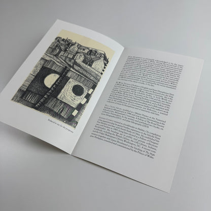 Prospectus for Welsh Time Emyr Humphrey's career ed. M. Wynn Thomas Gwasg Gregynog