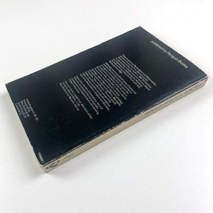 A Heritage of Images – A Selection of Lectures by Fritz Saxl | Peregrine, 1970