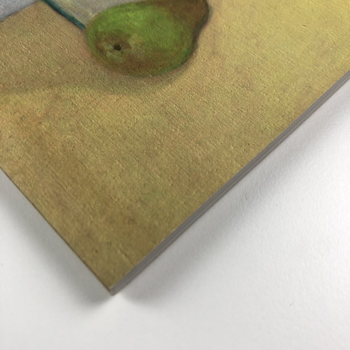 Andreas Rüthi. Double Page Paintings | Duckett & Jeffreys catalogue, 2010