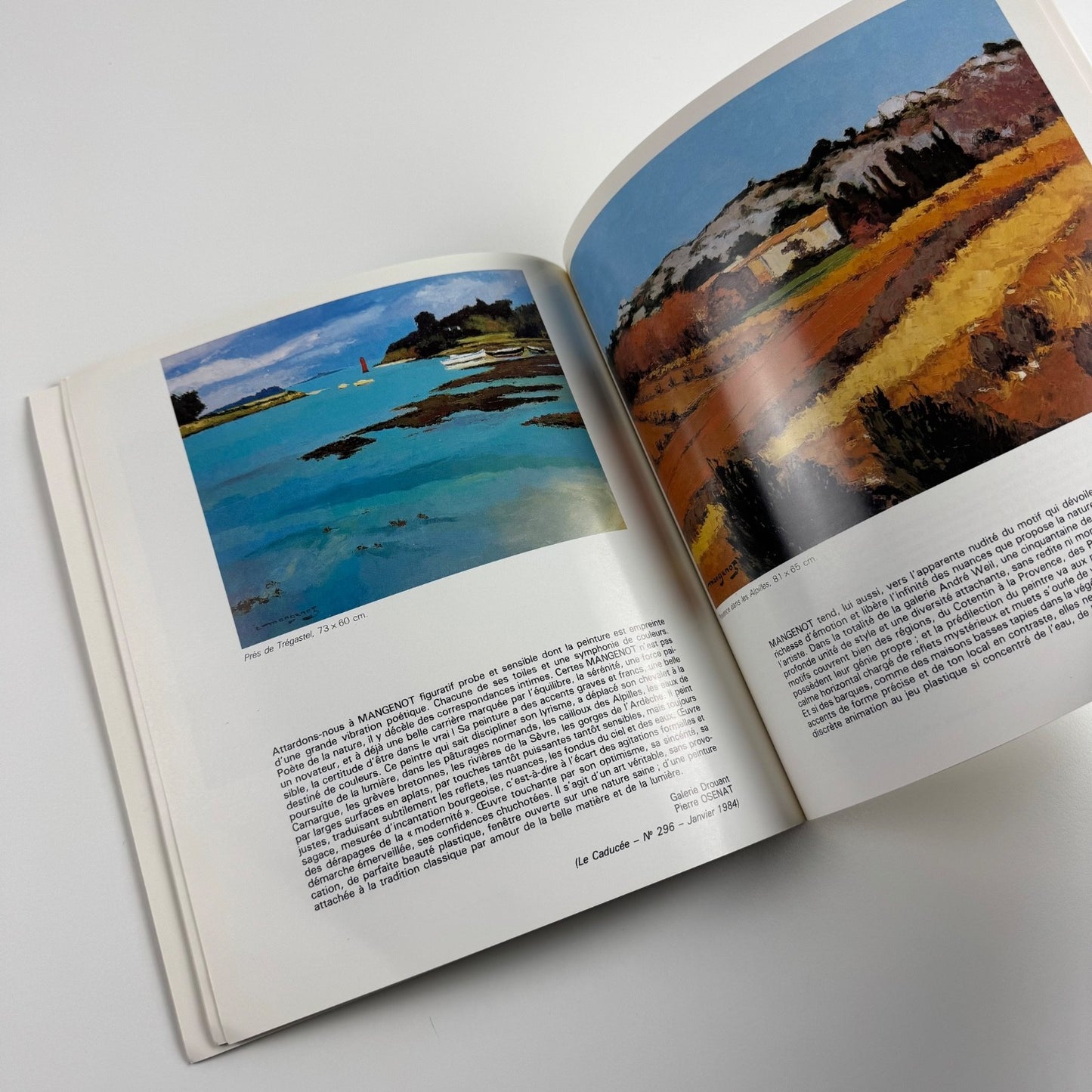 Emile Mangenot | catalogue to accompany the exhibition held in 1987