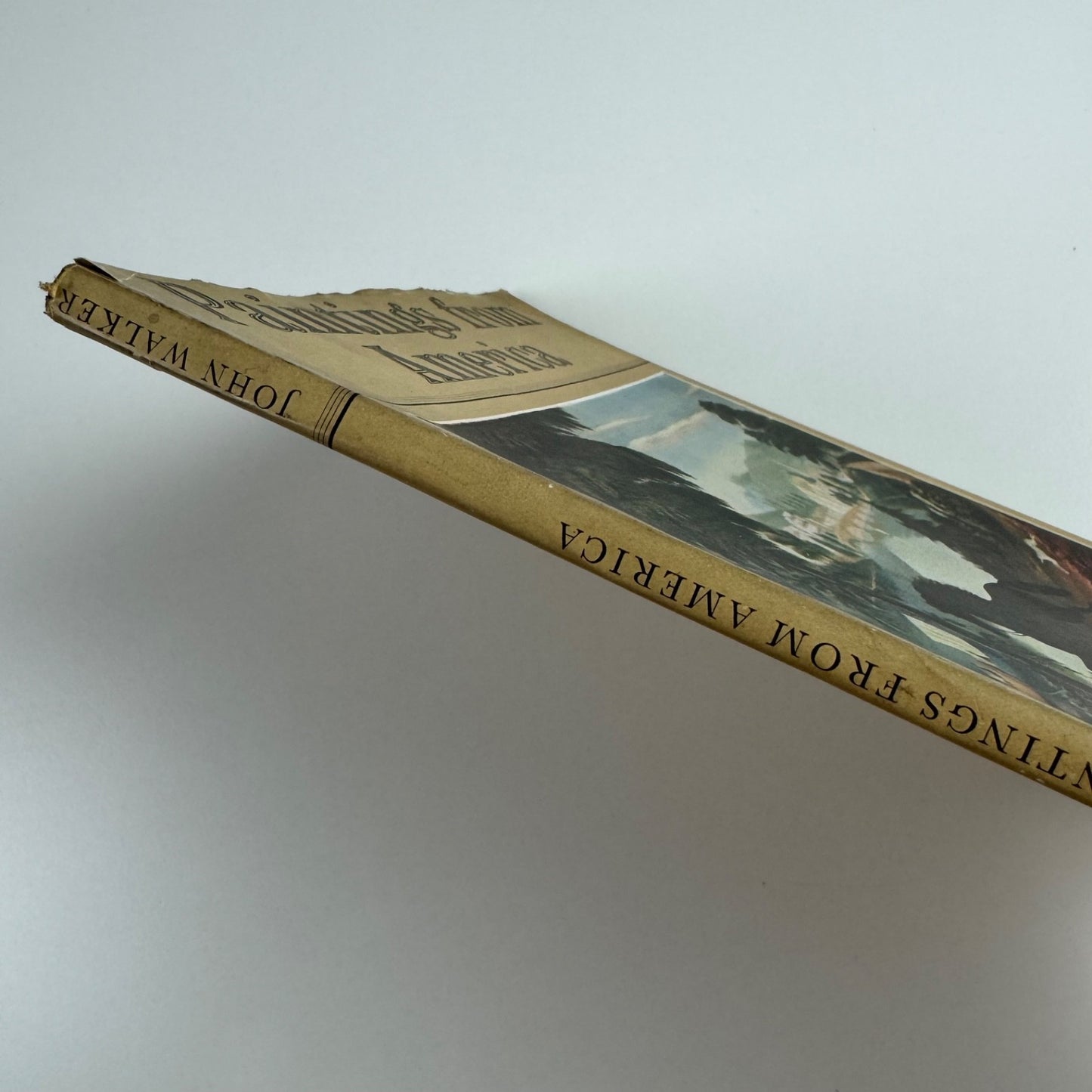 Paintings from America by John Walker | Penguin Books, 1951