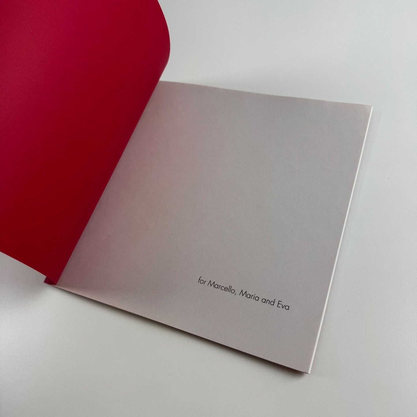 Hamish MacDonald. The Art of Drawing Good From Bad | Lemon Street Gallery 2008