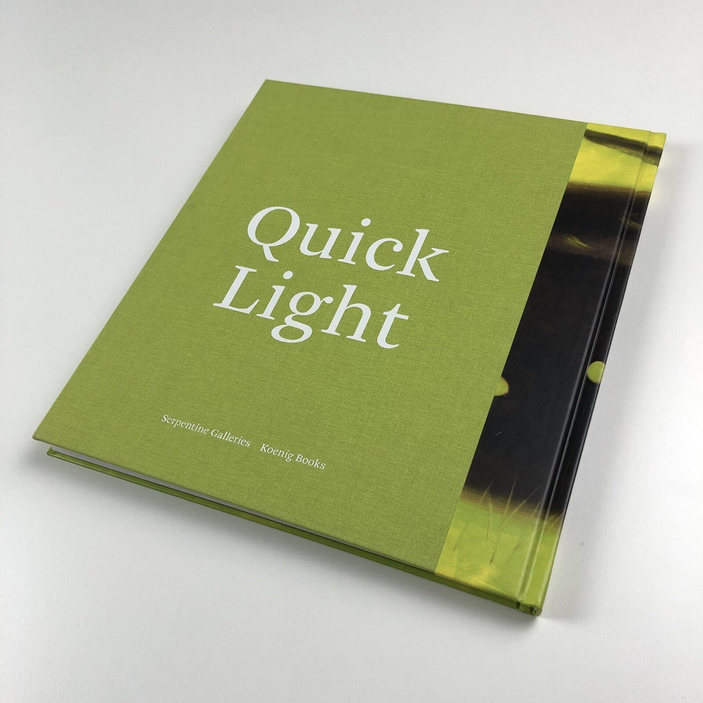 Alex Katz Quick Lights | Serpentine Galleries | Koenig Books 2016