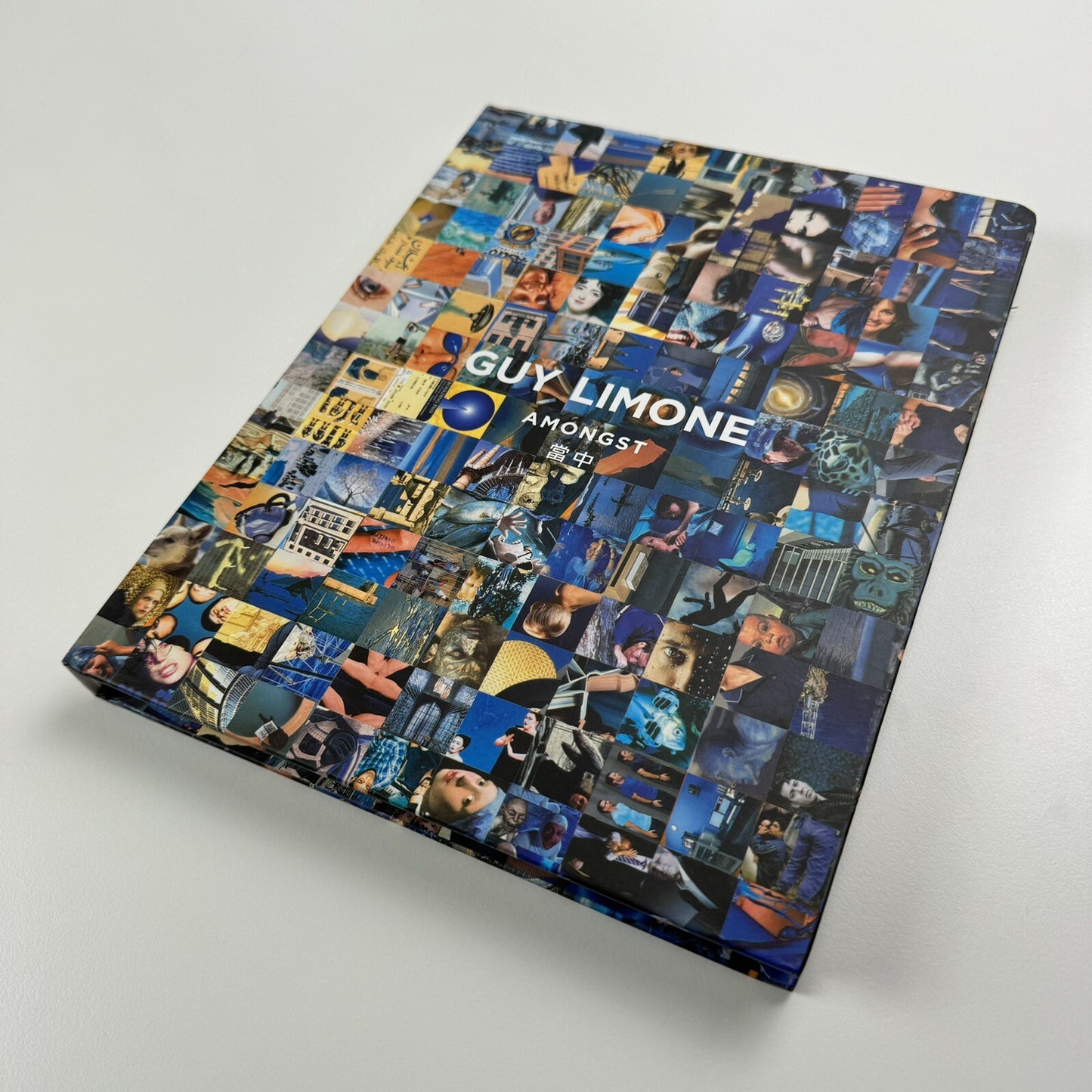 Guy Limone – Amongst | Galerie Perrotin 2012 exhibition catalogue