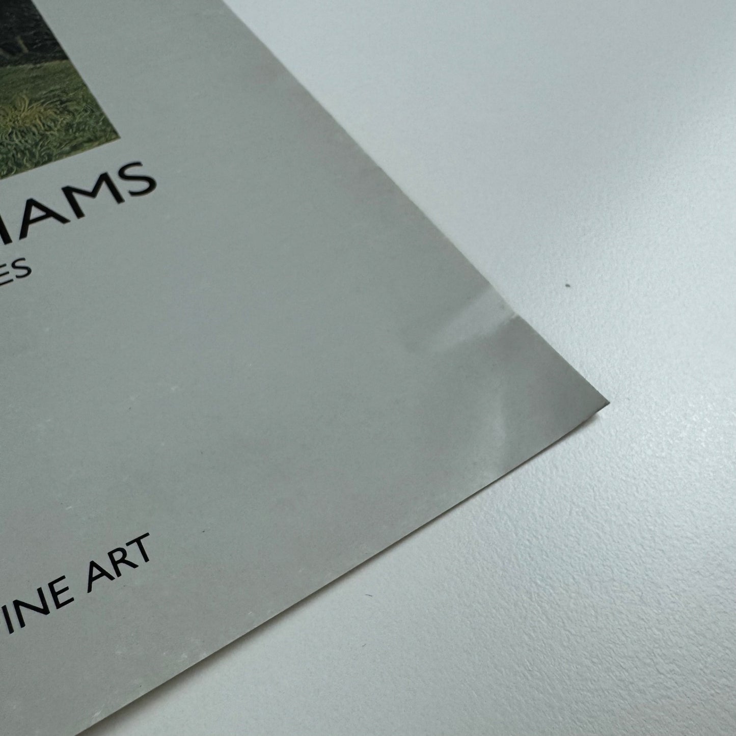 Folding card/catalogue for Michael Williams. Recent Landscapes | Austin/Desmond Fine Art undated c.1988