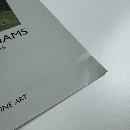 Folding card/catalogue for Michael Williams. Recent Landscapes | Austin/Desmond Fine Art undated c.1988