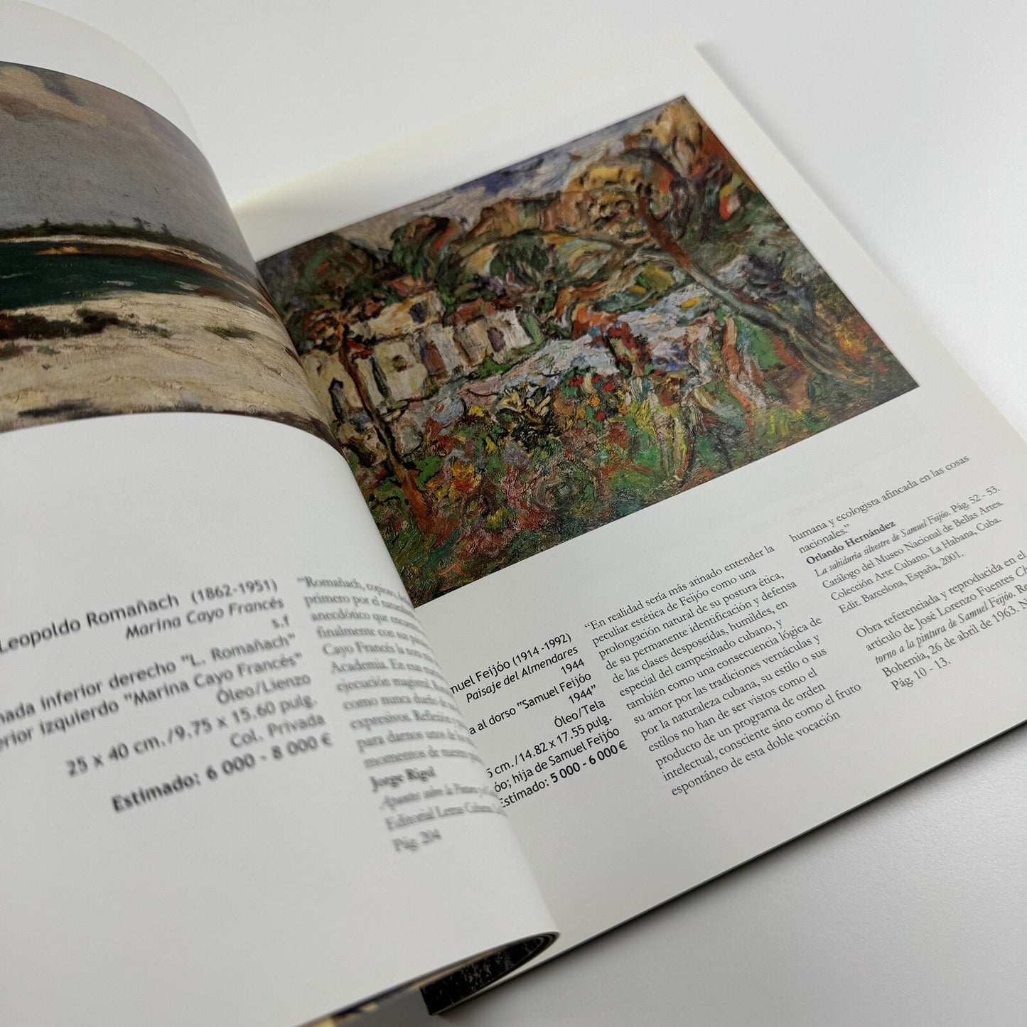 Subasta Habana ed 2007 | Arte Cubano – 28 November auction catalogue