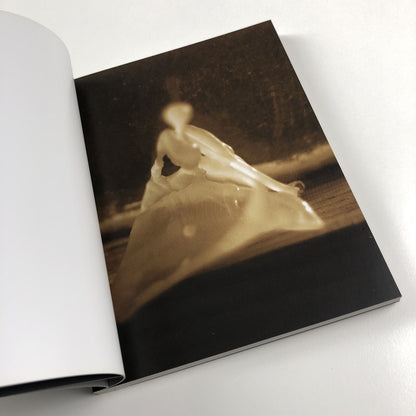 Helen Sear – Tale by David Chandler | Contemporary Temporary Artspace, 2009