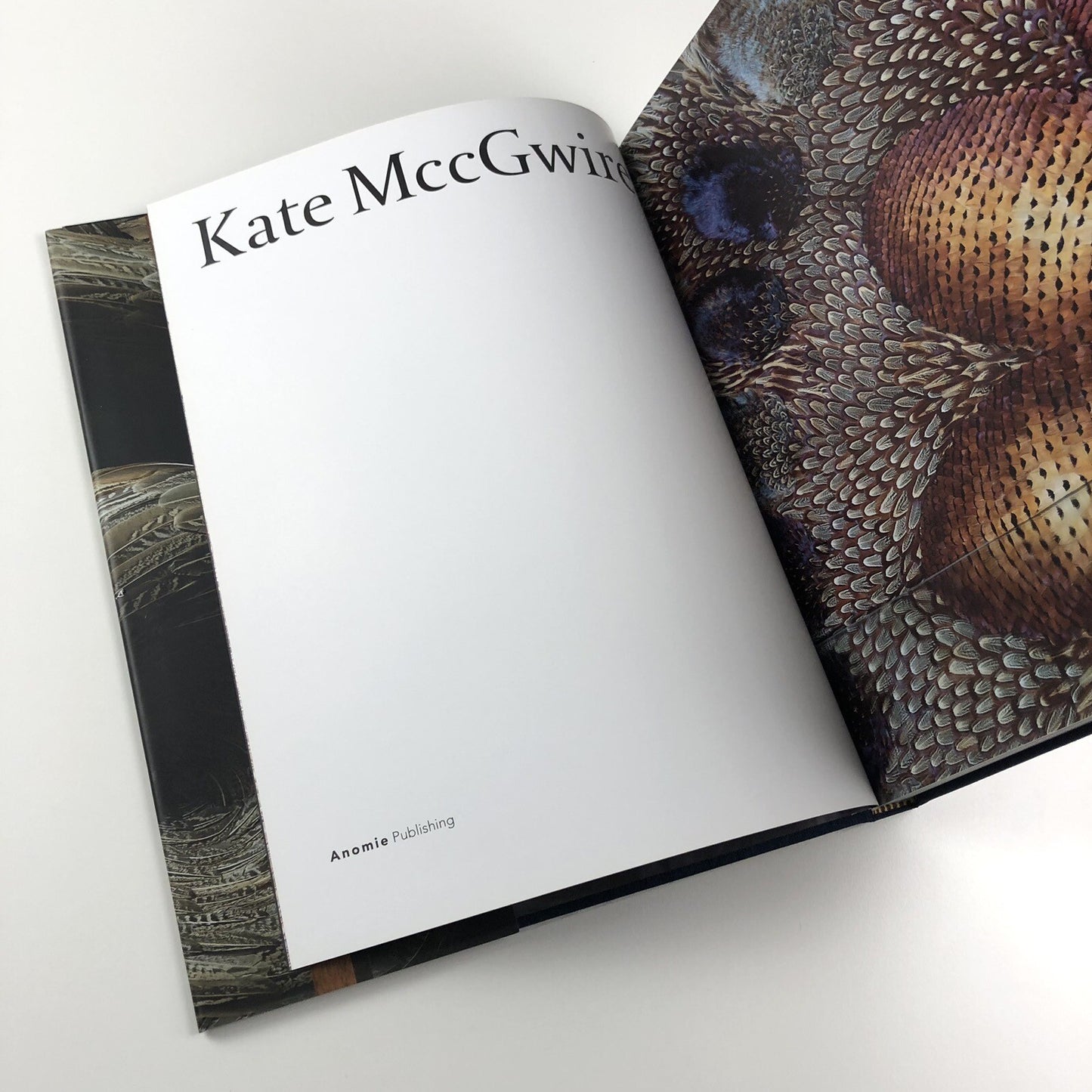 Kate MccGwire | Edited by Mark Sanders | Anomie Publishing, 2021