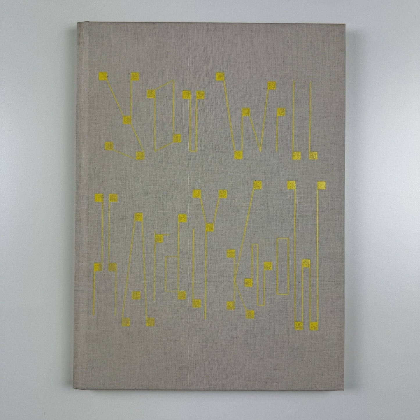 Håvard Homstvedt: You Will Hardly Know | Galleri Riis, 2008 catalogue