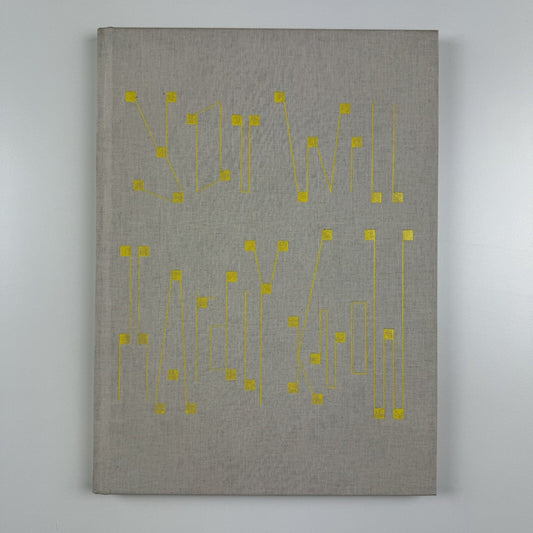 Håvard Homstvedt: You Will Hardly Know | Galleri Riis, 2008 catalogue