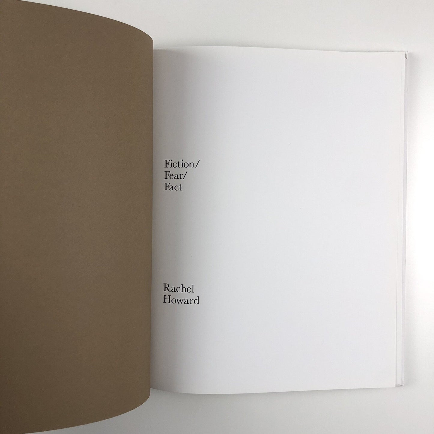 Fiction/Fear/Fact/ Rachel Howard | Other Criteria, 2007