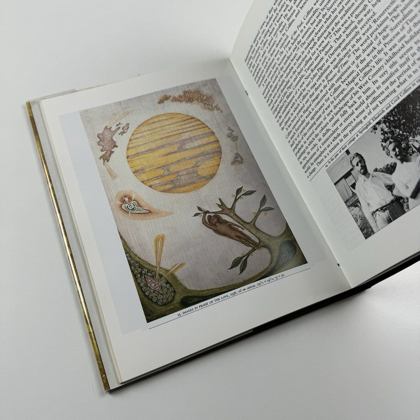 Cecil Collins. The Quest for the Great Happiness by William Anderson | Barrie & Jenkins,  1988