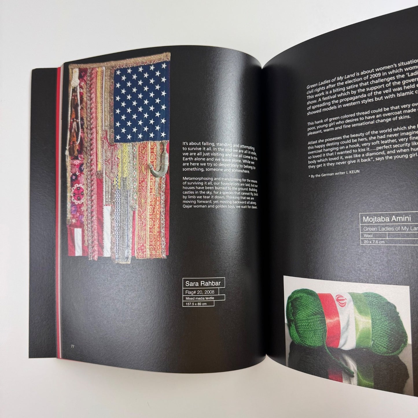 The Elephant in the Dark | Delvi Art Foundation, New Delhi, 2012 curated by Amirali Ghasemi