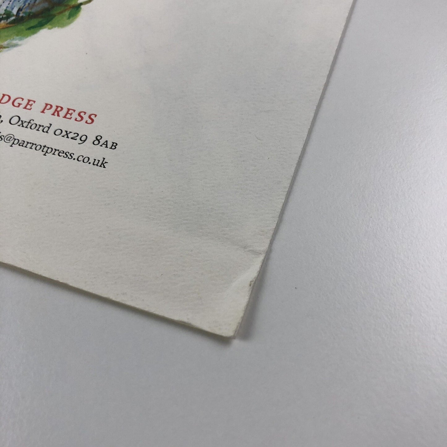 Prospectus for The Twelve Days of Christmas, Annie Newnham | Inky Partridge Press