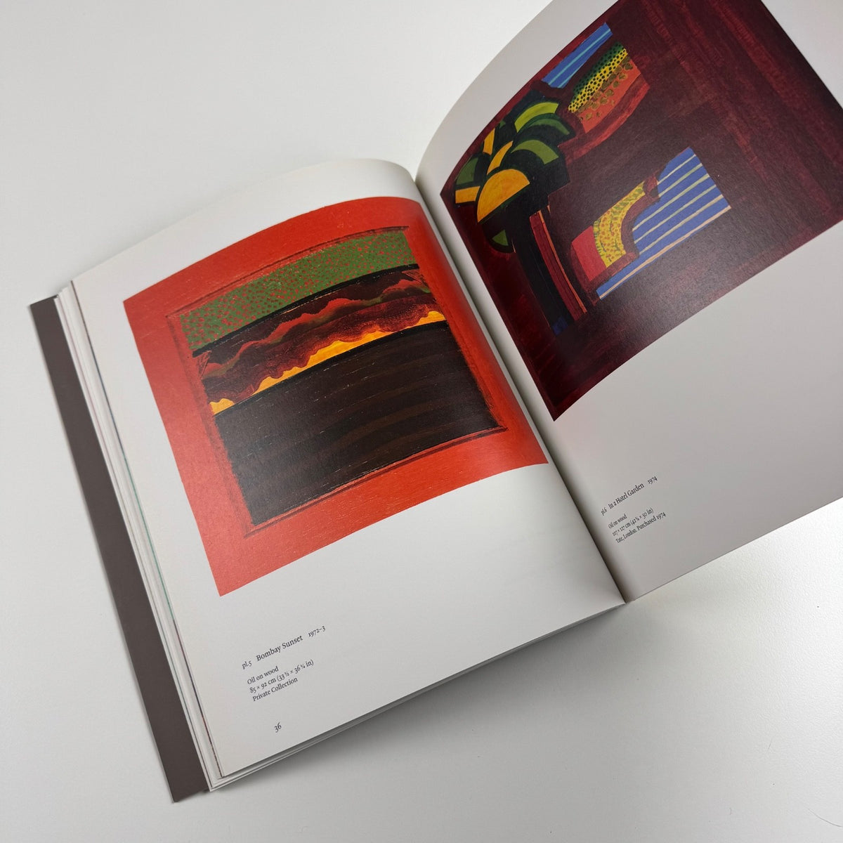 Howard Hodgkin. Indian Paintings ed Eleanor Clayton | Lund Humphries, 2017