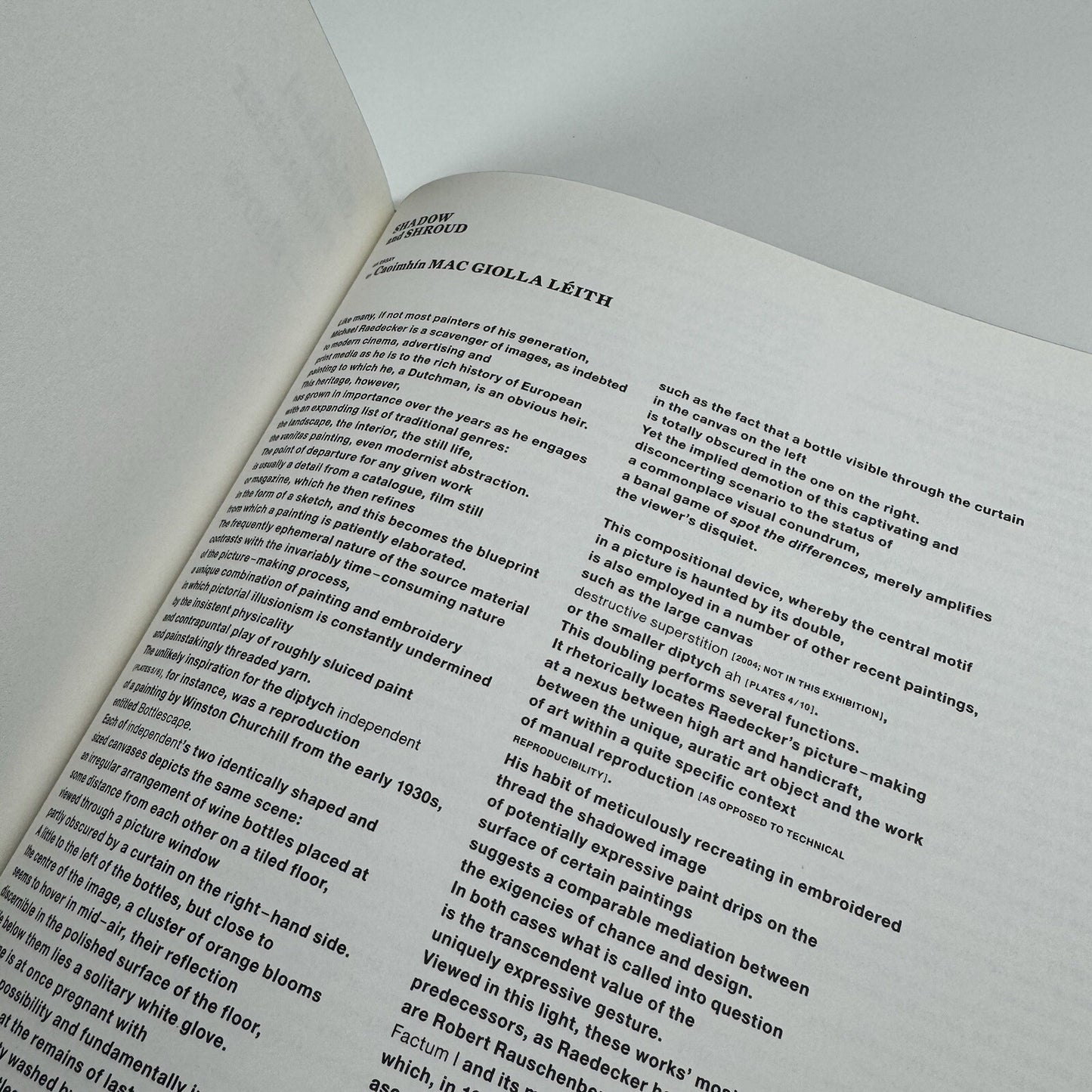 Michael Raedecker – Show | Hauser & Wirth exhibition catalogue, 2005