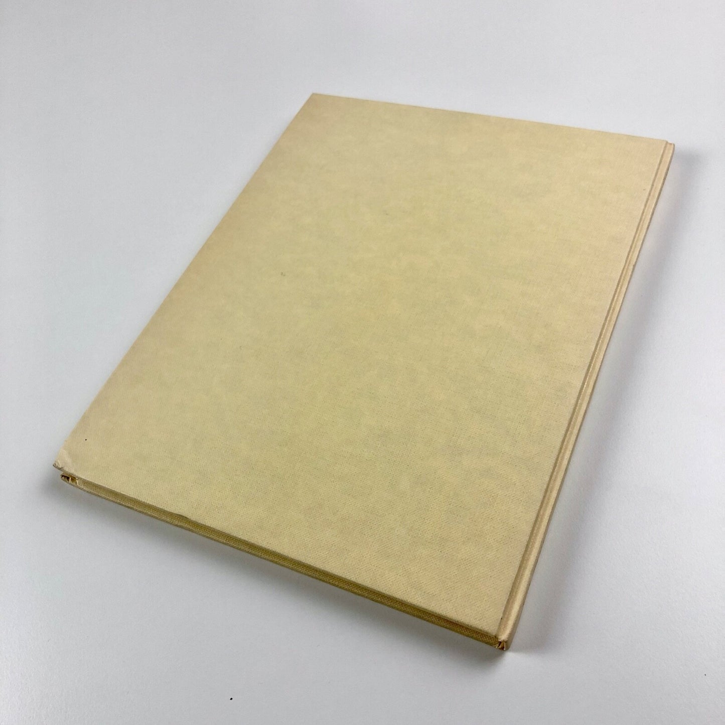 Stephen Cox: Traces, Works From South India | Artsite Bath catalogue, 1988 | Signed, limited edition copy
