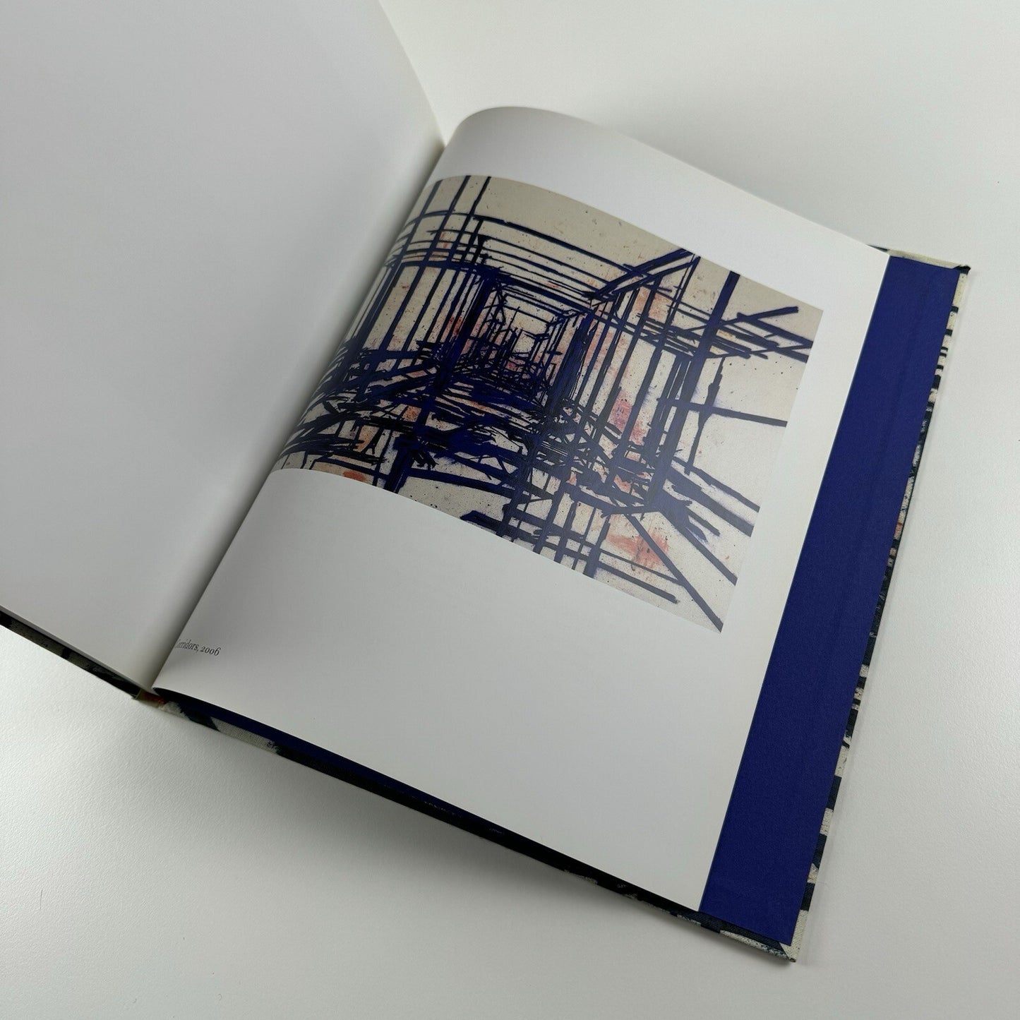 Tony Bevan | Ben Brown Fine Arts exhibition catalogue, 2006