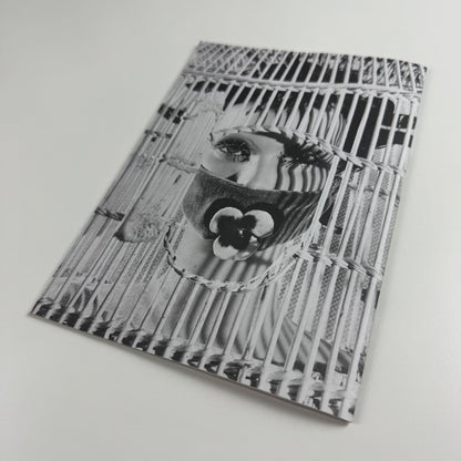 Gallery guide for Surreal Things: Surrealism and Design | V&A, 2007
