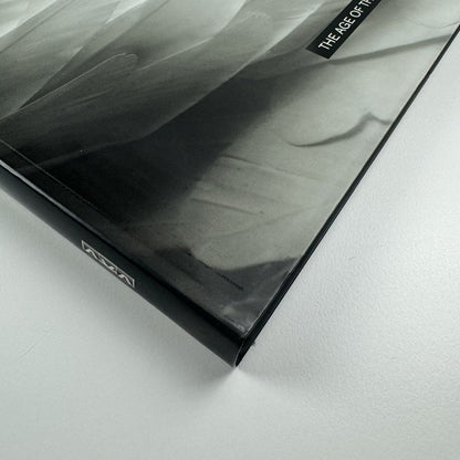 The Age of the Marvellous | One Marylebone Road | All Visual Arts catalogue, 2009 | Text by Joe Le Placa and John Paul Pryor
