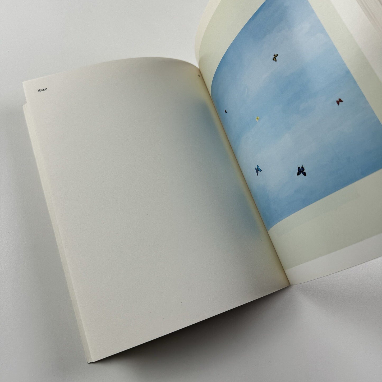 Romance in the Age of Uncertainty | Damien Hirst | White Cube catalogue | Jay Jopling, 2003