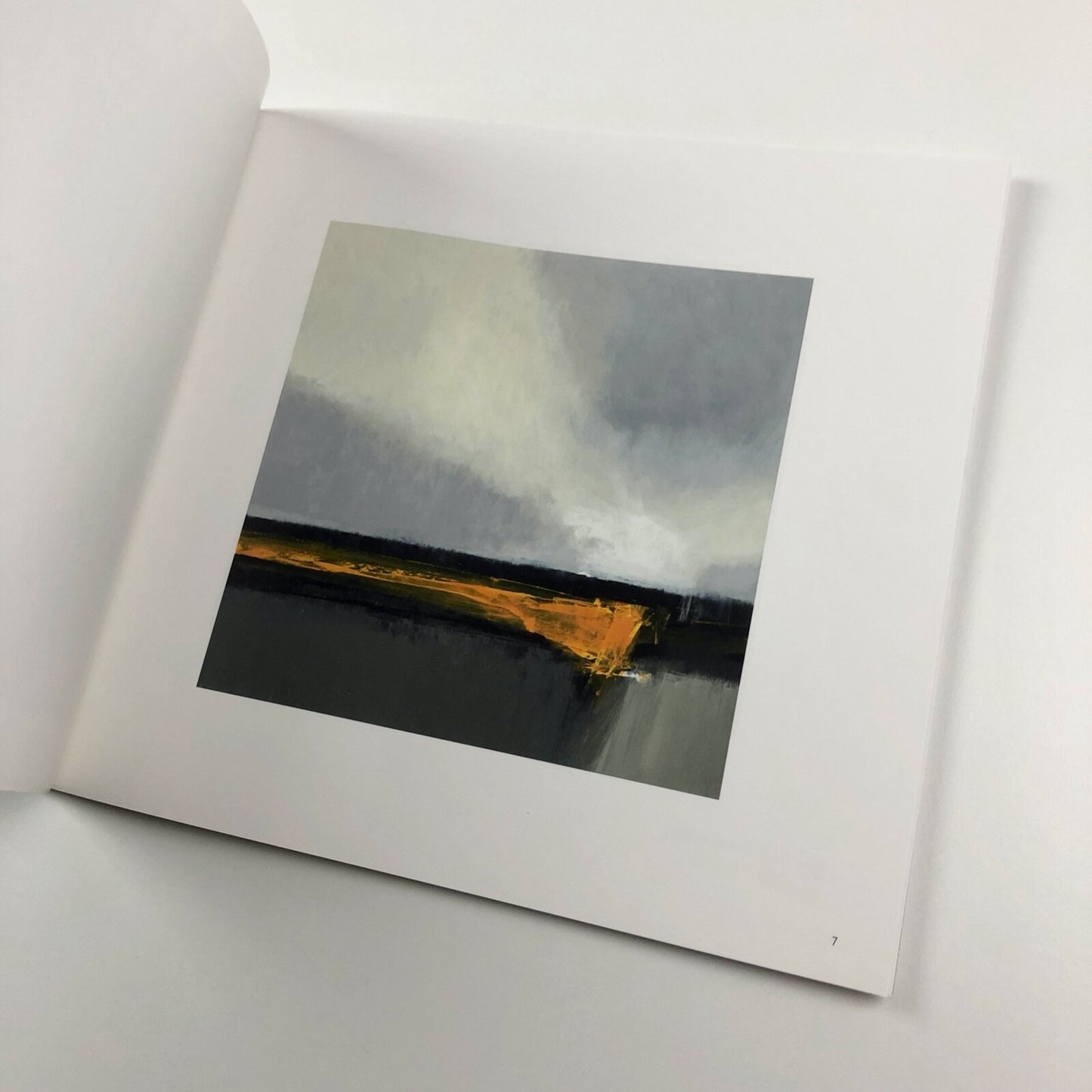 Neil Canning. Fusion | Lemon Street Gallery exhibition catalogue, 2015