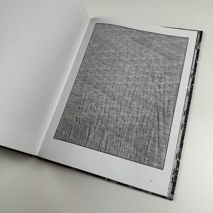 Michael Staniak. IMG | Contemporary Art Museum St Louis | 2015 exhibition catalogue