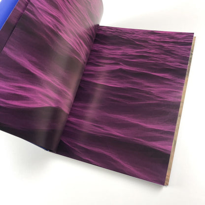 Sondra Perry. Typhoon Coming On | Serpentine Galleries exhibition catalogue, 2018