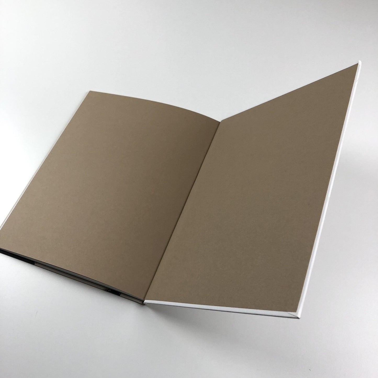 Fiction/Fear/Fact/ Rachel Howard | Other Criteria, 2007