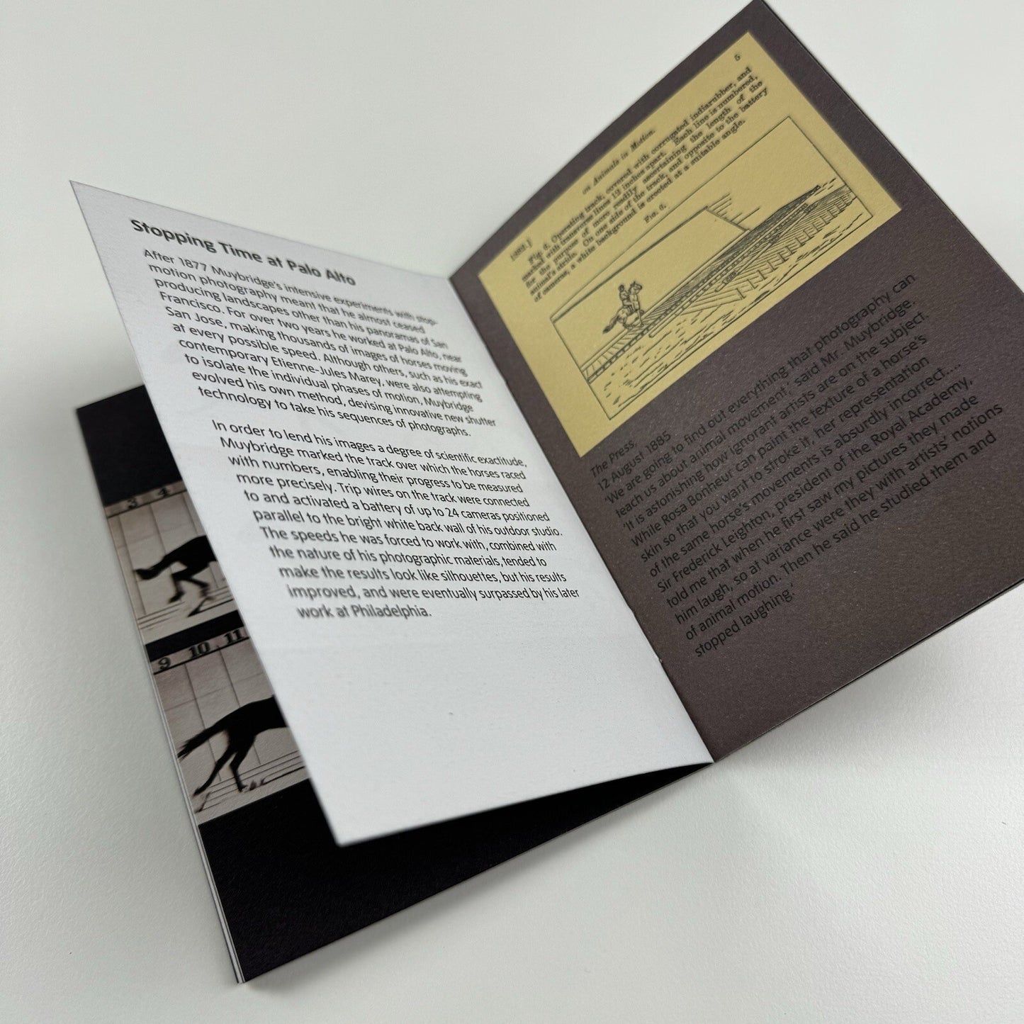 Eadweard Muybridge | Small exhibition guide, Tate Britain 2011