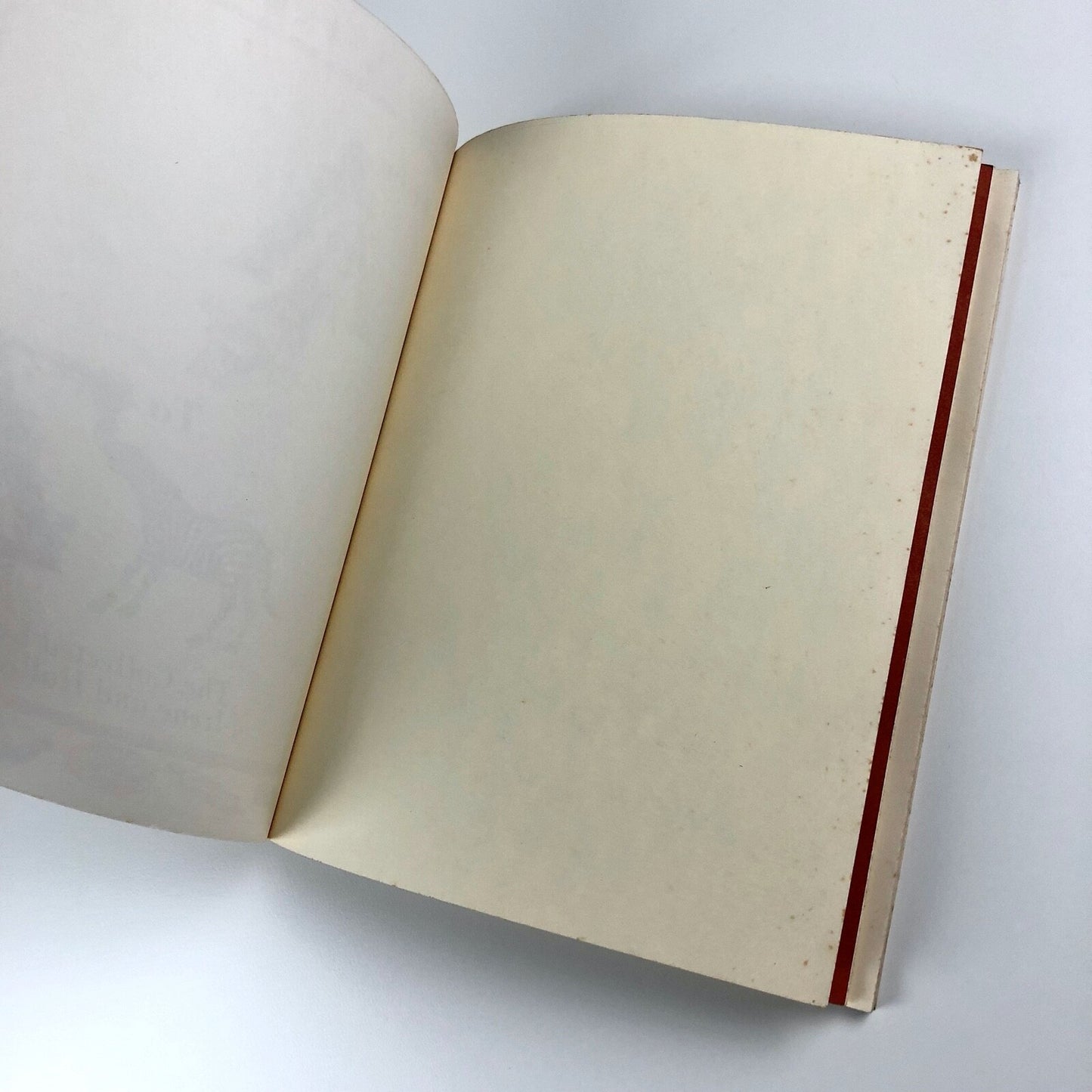 From A to Z: The Collected Letters of Irene and Hallie Coletta | Prentice Hall, 1979