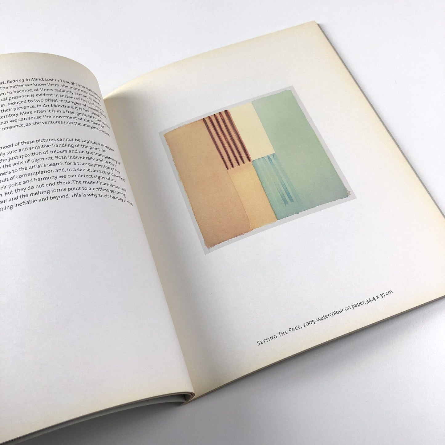 Libby Raynham: That Inward Eye – Paintings in watercolour | W/S Fine Art Ltd / Andrew Wyld catalogue, 2006