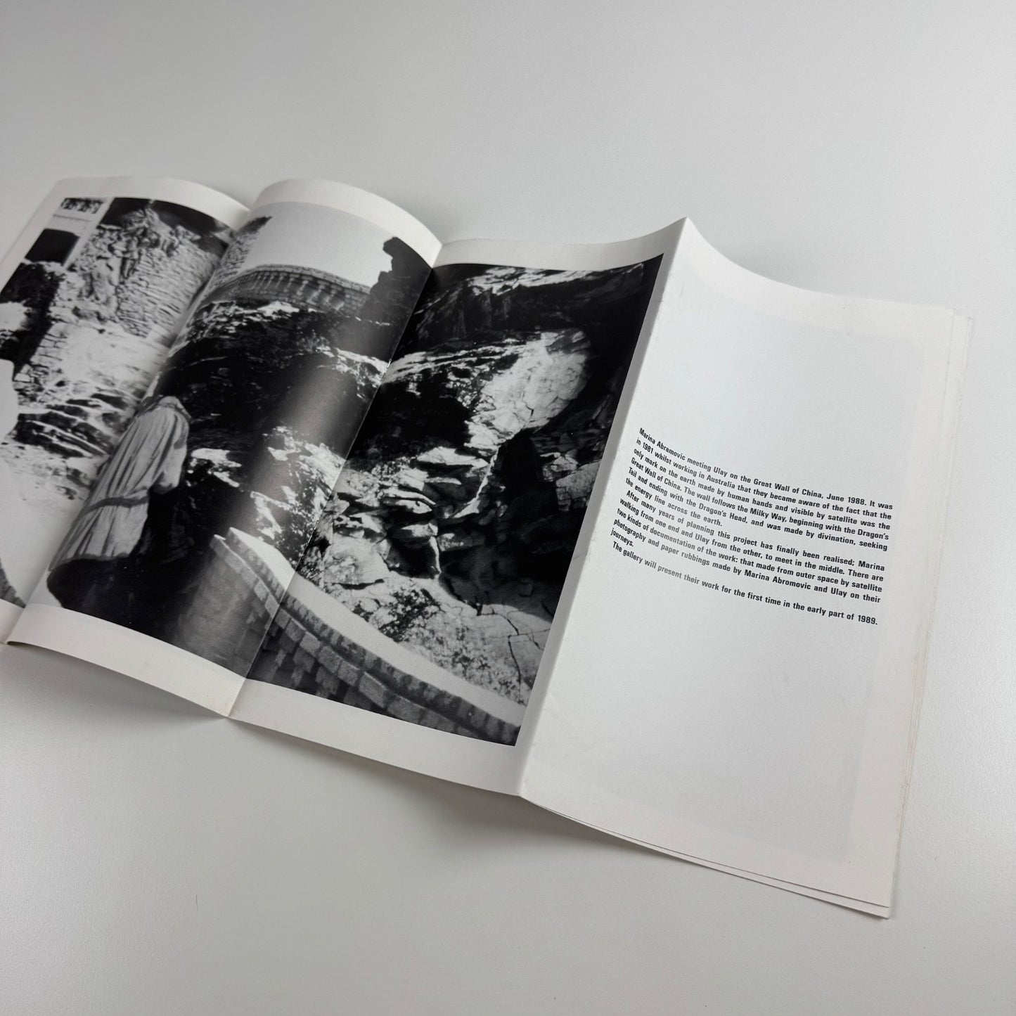 Catalogue for Pat Steir. The Little Critic | Victoria Miro, 1988