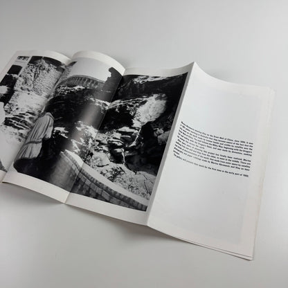 Catalogue for Pat Steir. The Little Critic | Victoria Miro, 1988